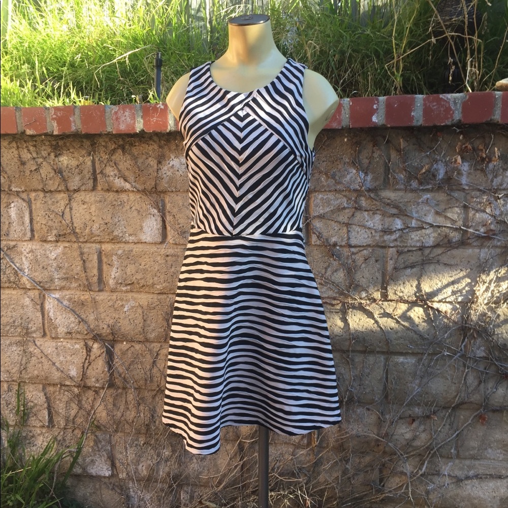 XHILERATION Black white linear dress M